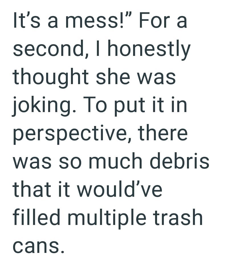 It's a mess!" For a second, I honestly thought she was joking. To put it in perspective, there was so much debris that it would've filled multiple trash cans.