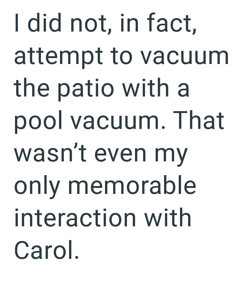 I did not, in fact, attempt to vacuum the patio with a pool vacuum. That wasn't even my only memorable interaction with Carol.