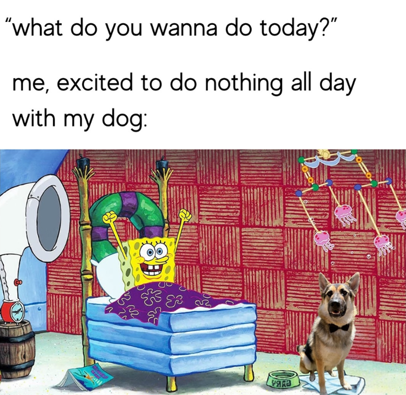 "what do you wanna do today?" me, excited to do nothing all day with my dog: 20 ** YARD