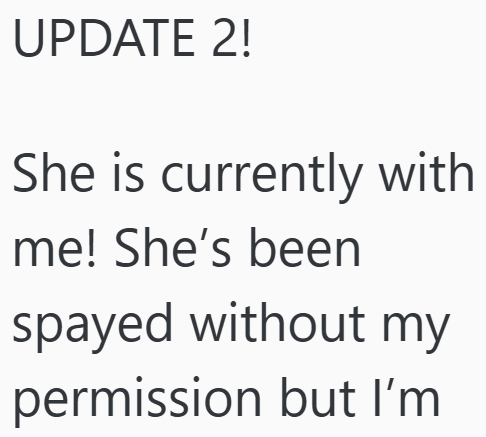 UPDATE 2! She is currently with me! She's been spayed without my permission but I'm