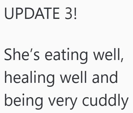 UPDATE 3! She's eating well, healing well and being very cuddly