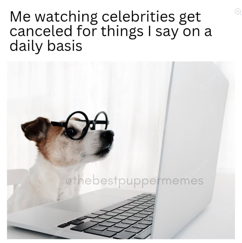 freepik Me watching celebrities get canceled for things I say on a daily basis @thebestpuppermemes freepik