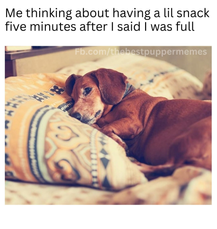 Me thinking about having a lil snack five minutes after I said I was full Fb.com/thebestpuppermemes H