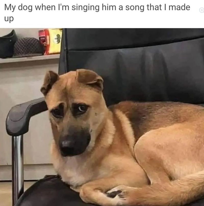 My dog when I'm singing him a song that I made up +