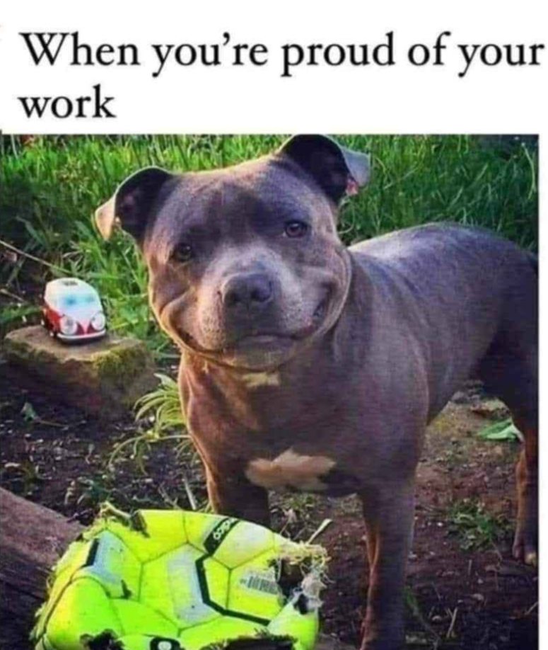 When you're proud of your work dico