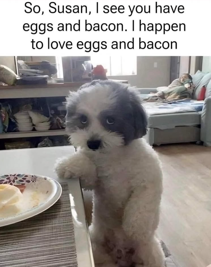 So, Susan, I see you have eggs and bacon. I happen to love eggs and bacon