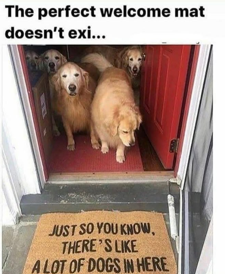 The perfect welcome mat doesn't exi... JUST SO YOU KNOW, THERE'S LIKE A LOT OF DOGS IN HERE
