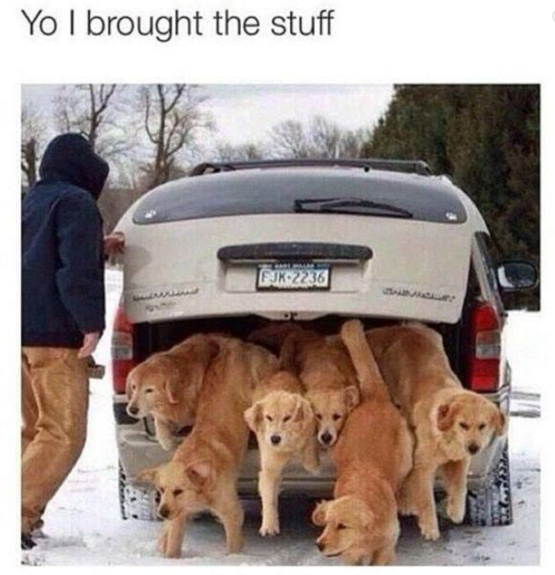 Yo I brought the stuff FJK-2236