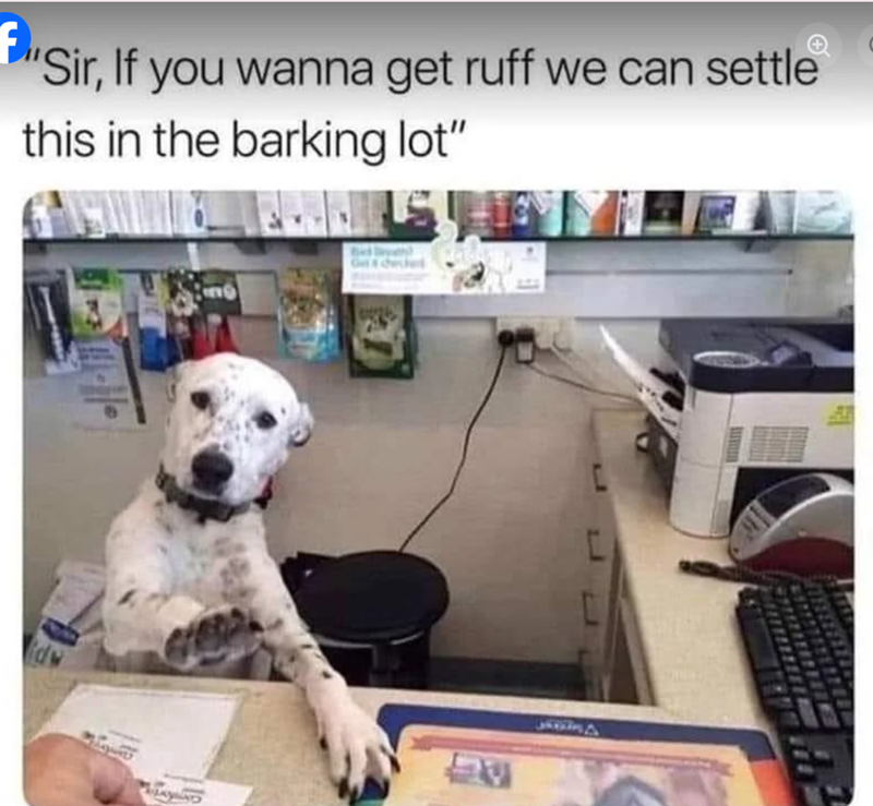 -11-10 "Sir, If you wanna get ruff we can settle this in the barking lot" 20