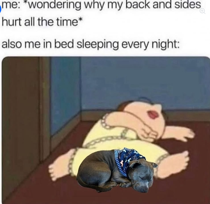 me: *wondering why my back and sides hurt all the time* also me in bed sleeping every night: