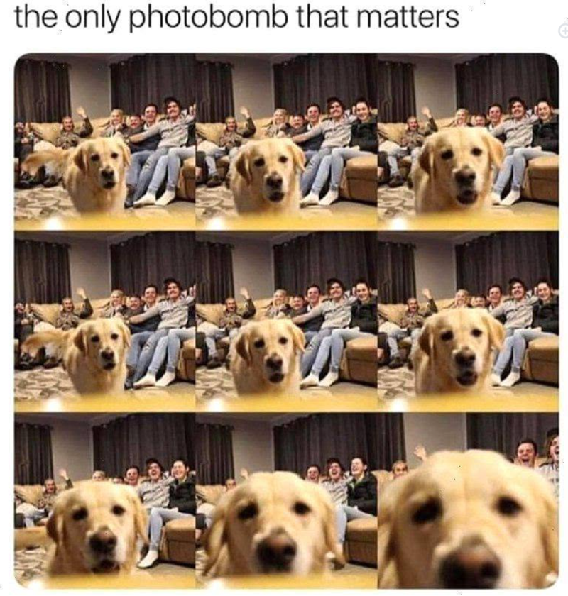 the only photobomb that matters