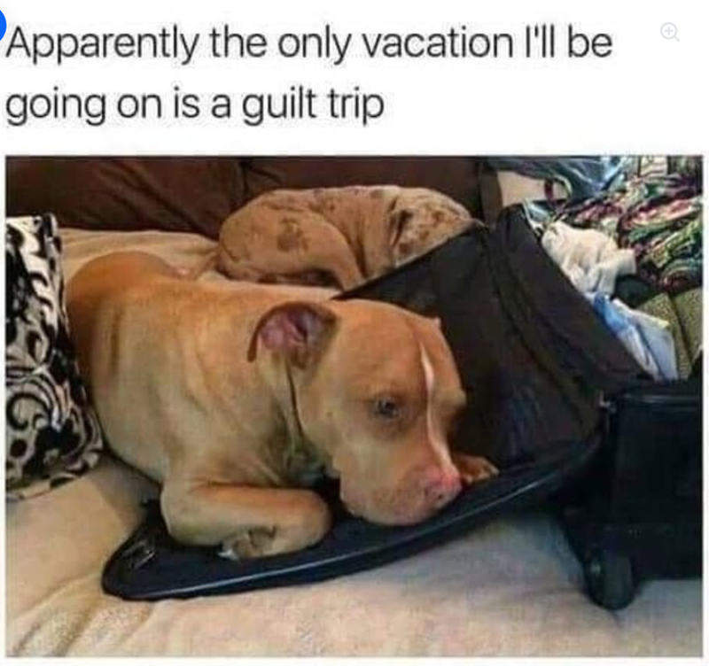 Apparently the only vacation I'll be going on is a guilt trip
