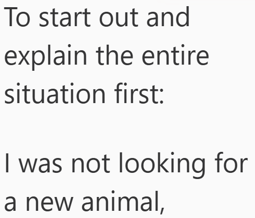 To start out and explain the entire situation first: I was not looking for a new animal,