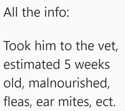 All the info: Took him to the vet, estimated 5 weeks old, malnourished, fleas, ear mites, ect.
