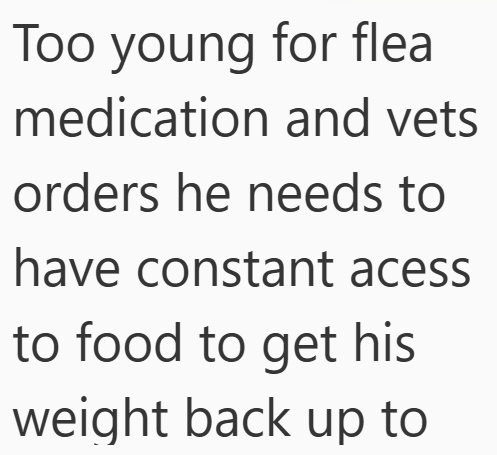Too young for flea medication and vets orders he needs to have constant acess to food to get his weight back up to