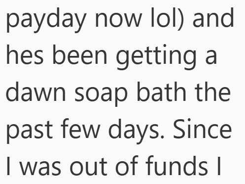 payday now lol) and hes been getting a dawn soap bath the past few days. Since I was out of funds I