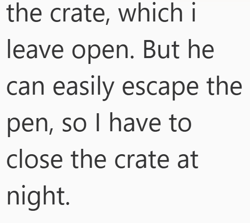 the crate, which i leave open. But he can easily escape the pen, so I have to close the crate at night.