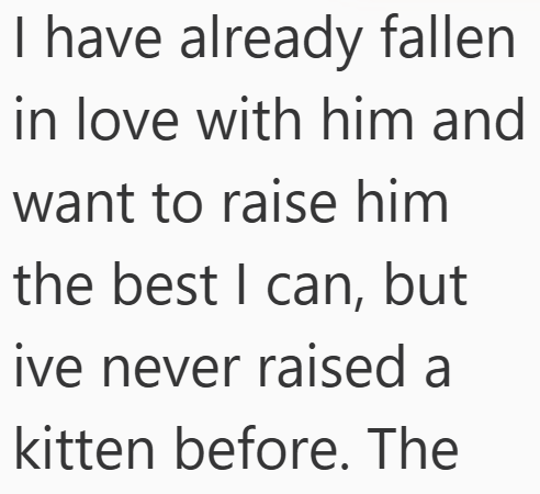 I have already fallen in love with him and want to raise him the best I can, but ive never raised a kitten before. The