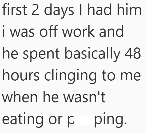 first 2 days I had him i was off work and he spent basically 48 hours clinging to me when he wasn't eating or p ping.