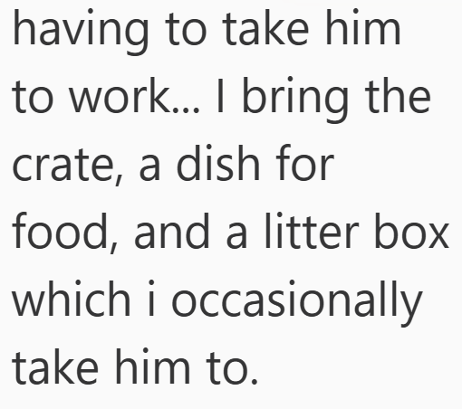 having to take him to work... I bring the crate, a dish for food, and a litter box which i occasionally take him to.