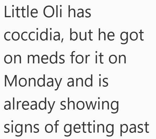 Little Oli has coccidia, but he got on meds for it on Monday and is already showing signs of getting past