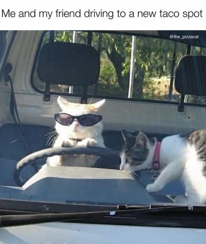 Me and my friend driving to a new taco spot @the_pizzacat