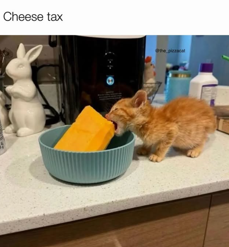 Cheese tax @the_pizzacat
