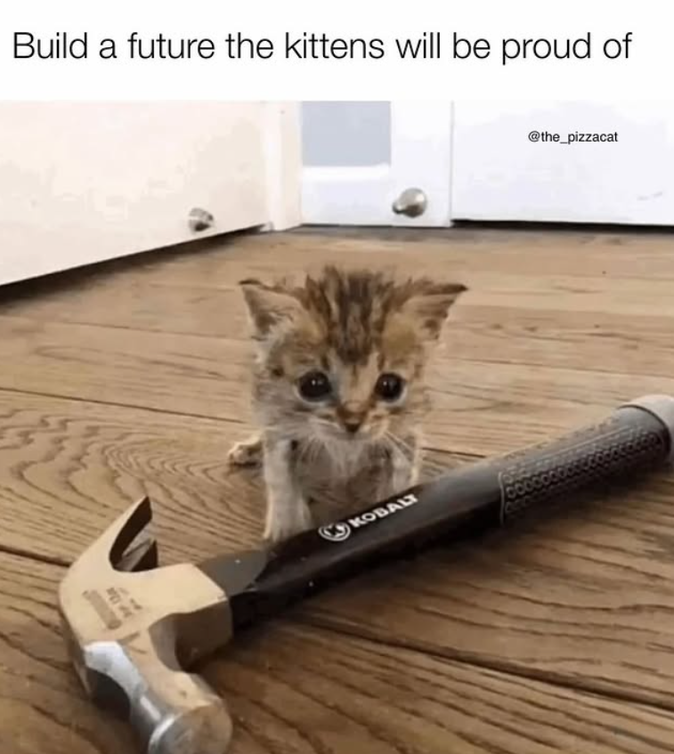 Build a future the kittens will be proud of KOBALT @the_pizzacat