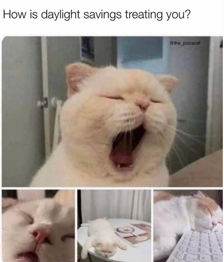 How is daylight savings treating you? @the_pizzacat