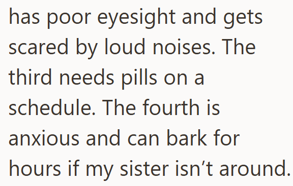 has poor eyesight and gets scared by loud noises. The third needs pills on a schedule. The fourth is anxious and can bark for hours if my sister isn't around.