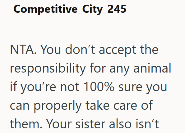 Competitive_City_245 NTA. You don't accept the responsibility for any animal if you're not 100% sure you can properly take care of them. Your sister also isn't