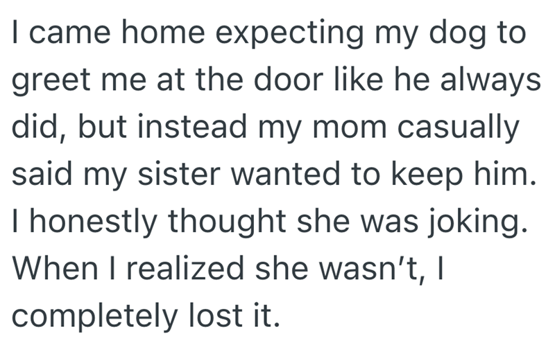 I came home expecting my dog to greet me at the door like he always did, but instead my mom casually said my sister wanted to keep him. I honestly thought she was joking. When I realized she wasn't, I completely lost it.