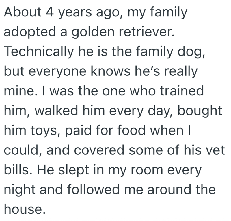 About 4 years ago, my family adopted a golden retriever. Technically he is the family dog, but everyone knows he's really mine. I was the one who trained him, walked him every day, bought him toys, paid for food when I could, and covered some of his vet bills. He slept in my room every night and followed me around the house.