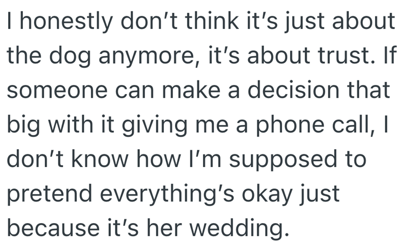 I honestly don't think it's just about the dog anymore, it's about trust. If someone can make a decision that big with it giving me a phone call, I don't know how I'm supposed to pretend everything's okay just because it's her wedding.