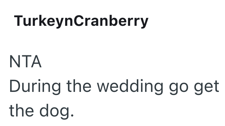 TurkeynCranberry NTA During the wedding go get the dog.