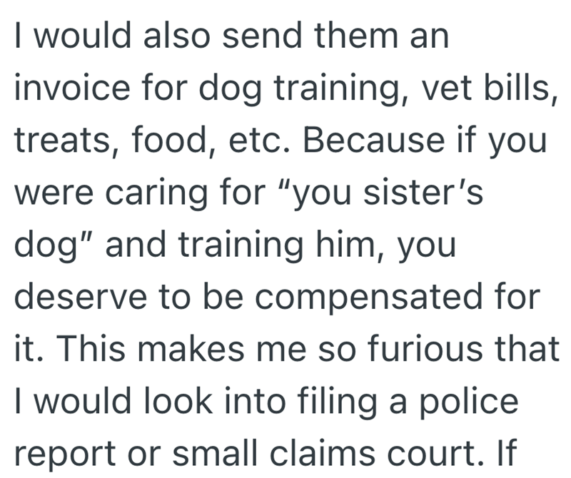 I would also send them an invoice for dog training, vet bills, treats, food, etc. Because if you were caring for "you sister's dog" and training him, you deserve to be compensated for it. This makes me so furious that I would look into filing a police report or small claims court. If