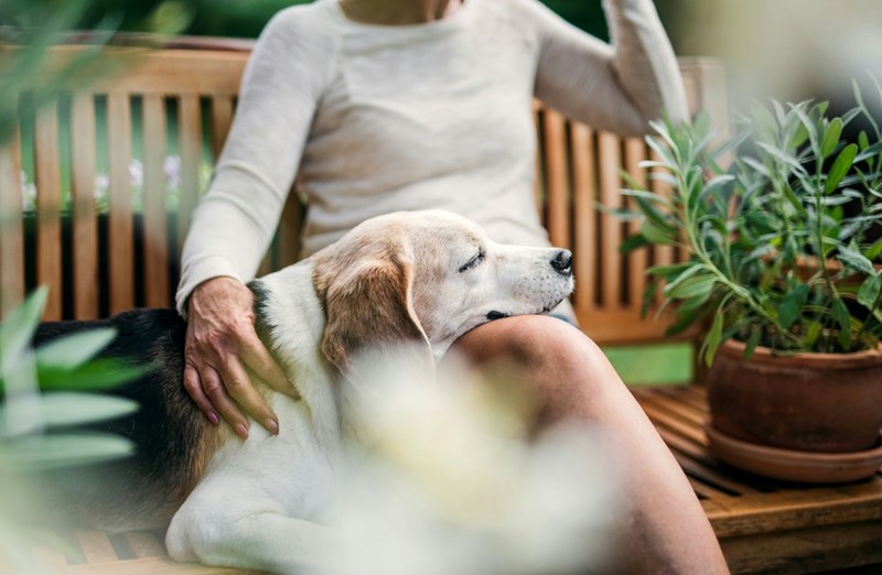 Woman sitting outside with her senior dog.