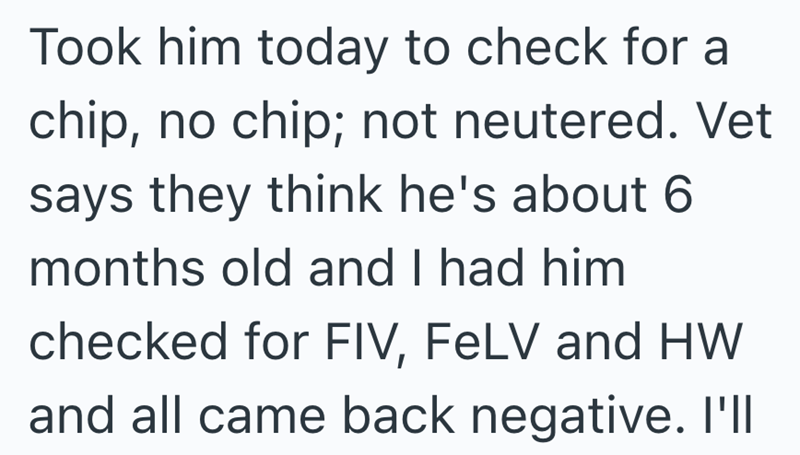 Took him today to check for a chip, no chip; not neutered. Vet says they think he's about 6 months old and I had him checked for FIV, FeLV and HW and all came back negative. I'll