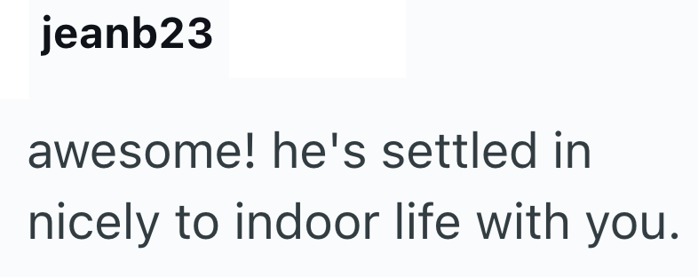 jeanb23 awesome! he's settled in nicely to indoor life with you.