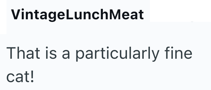 VintageLunch Meat That is a particularly fine cat!