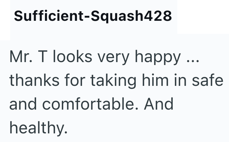 Sufficient-Squash428 Mr. T looks very happy... thanks for taking him in safe and comfortable. And healthy.