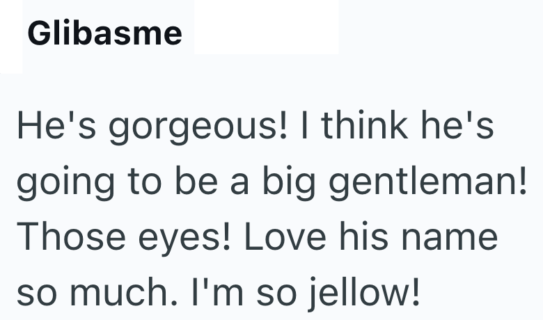 Glibasme He's gorgeous! I think he's going to be a big gentleman! Those eyes! Love his name so much. I'm so jellow!