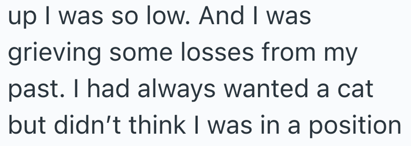 up I was so low. And I was grieving some losses from my past. I had always wanted a cat but didn't think I was in a position