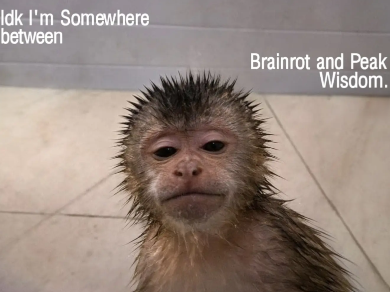 Idk I'm Somewhere between Brainrot and Peak Wisdom.