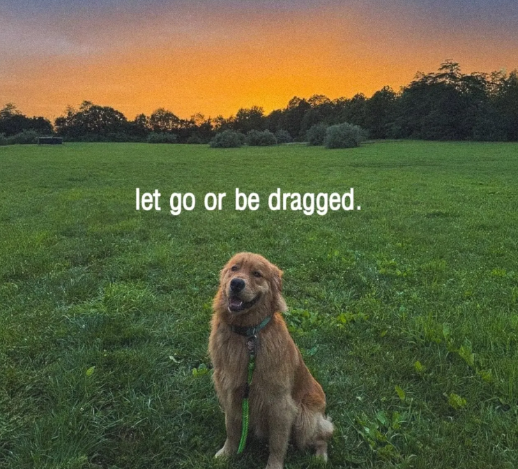 let go or be dragged.