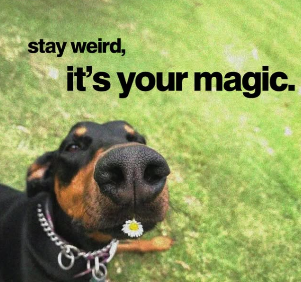 stay weird, it's your magic.