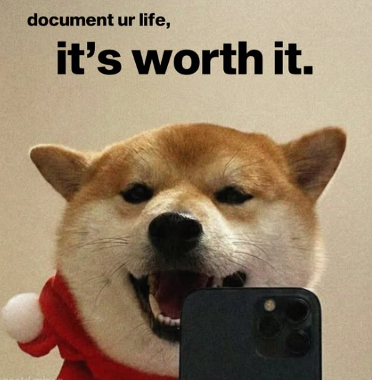 document ur life, it's worth it.