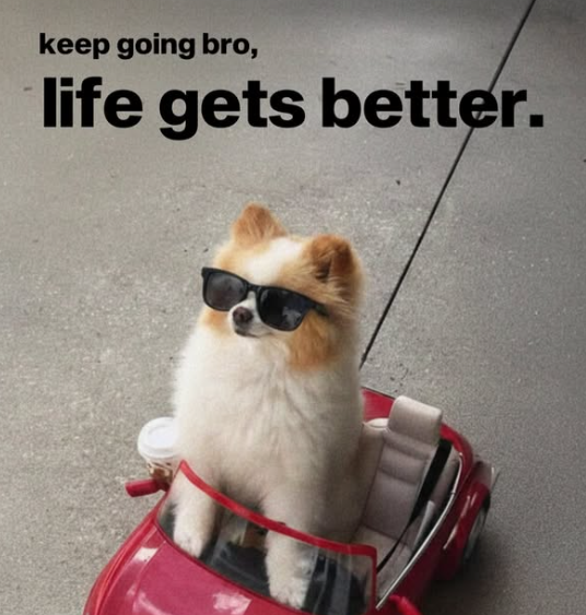 keep going bro, life gets better.