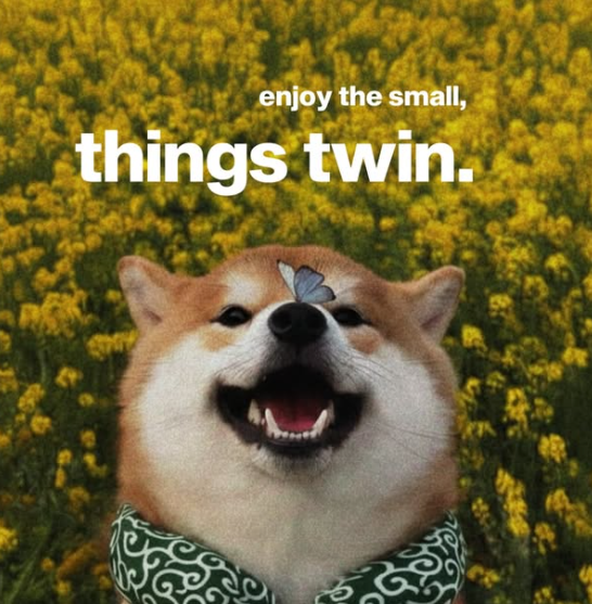 enjoy the small, things twin.
