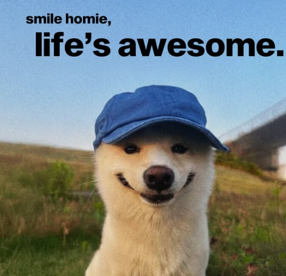 smile homie, life's awesome.